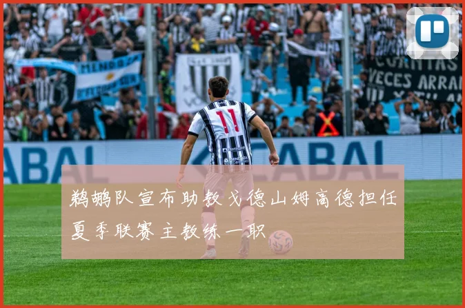 鹈鹕队宣布助教戈德山姆高德担任夏季联赛主教练一职
